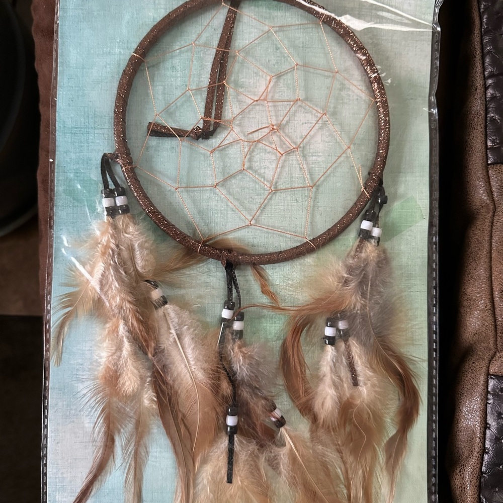 Brown Dreamcatcher with Feathers